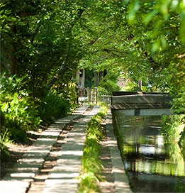 image:Philosophers Path