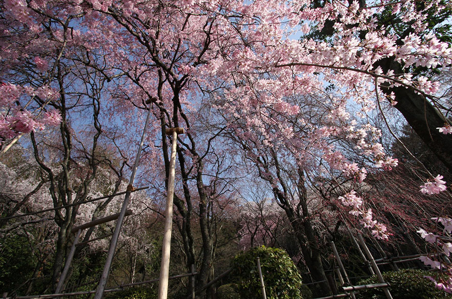 画像:観光地