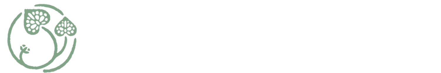 AOI Hotels & Resorts