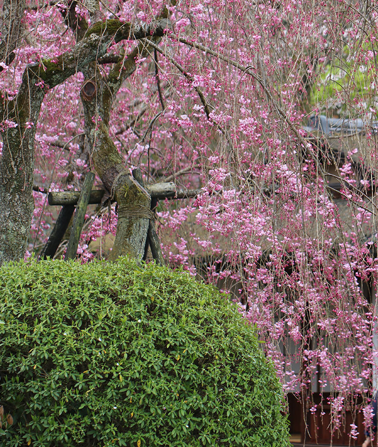 AOI Hotels & Resorts