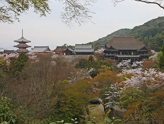 image:KIYOMIZU TEMPLE
