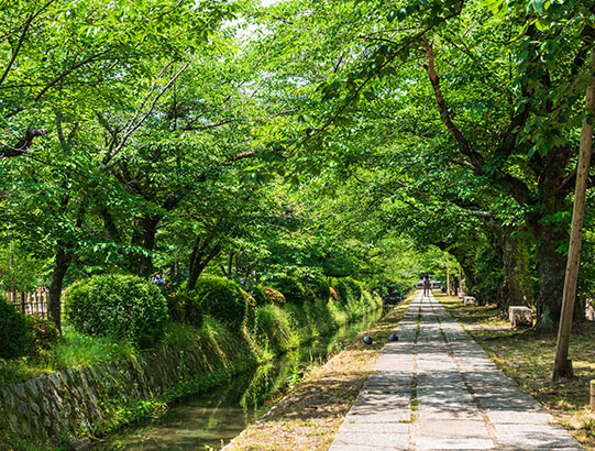 image:Philosophers Path