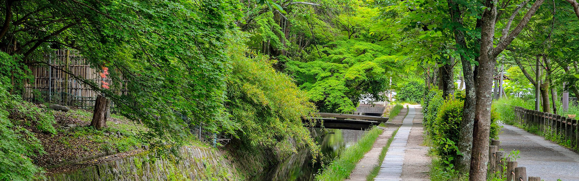 image:GINKAKUJI TEMPLE AREA