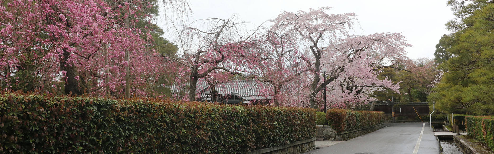 写真：京都