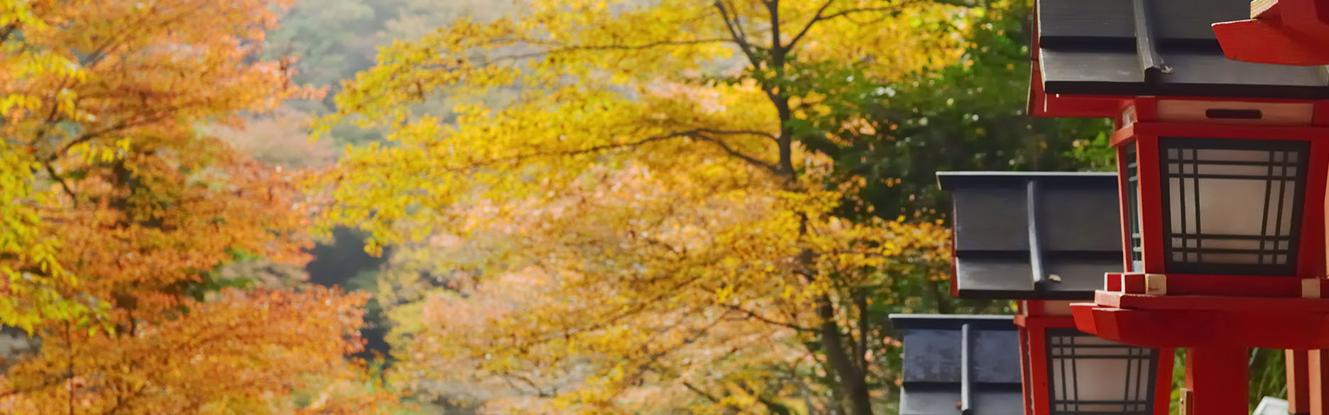 イメージ：その他